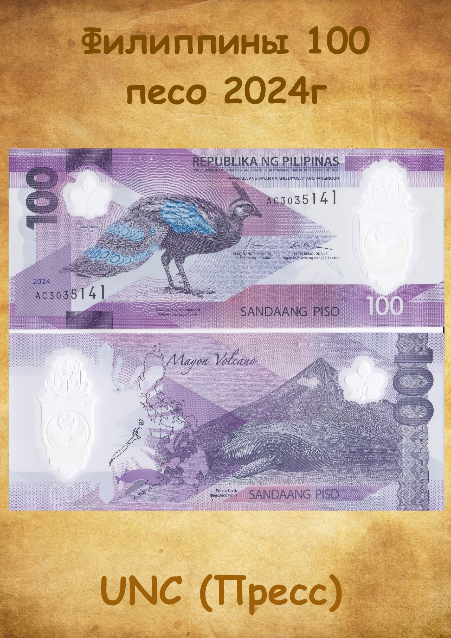 БанкнотаФилиппины100песо2024-2025гг.,полимер,UNC