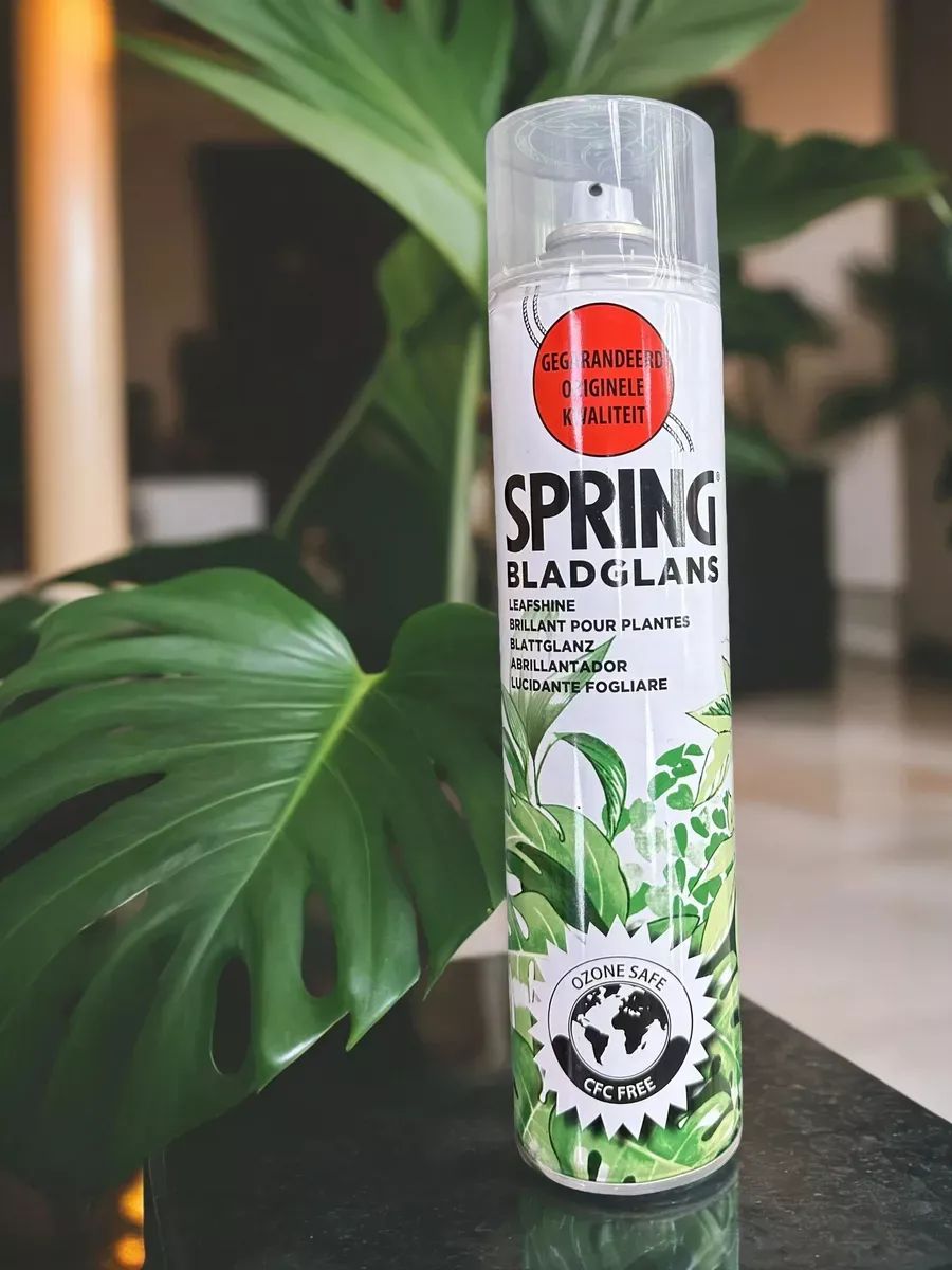 Блеск для листьев Spring 600 мл НИДЕРЛАНДЫ