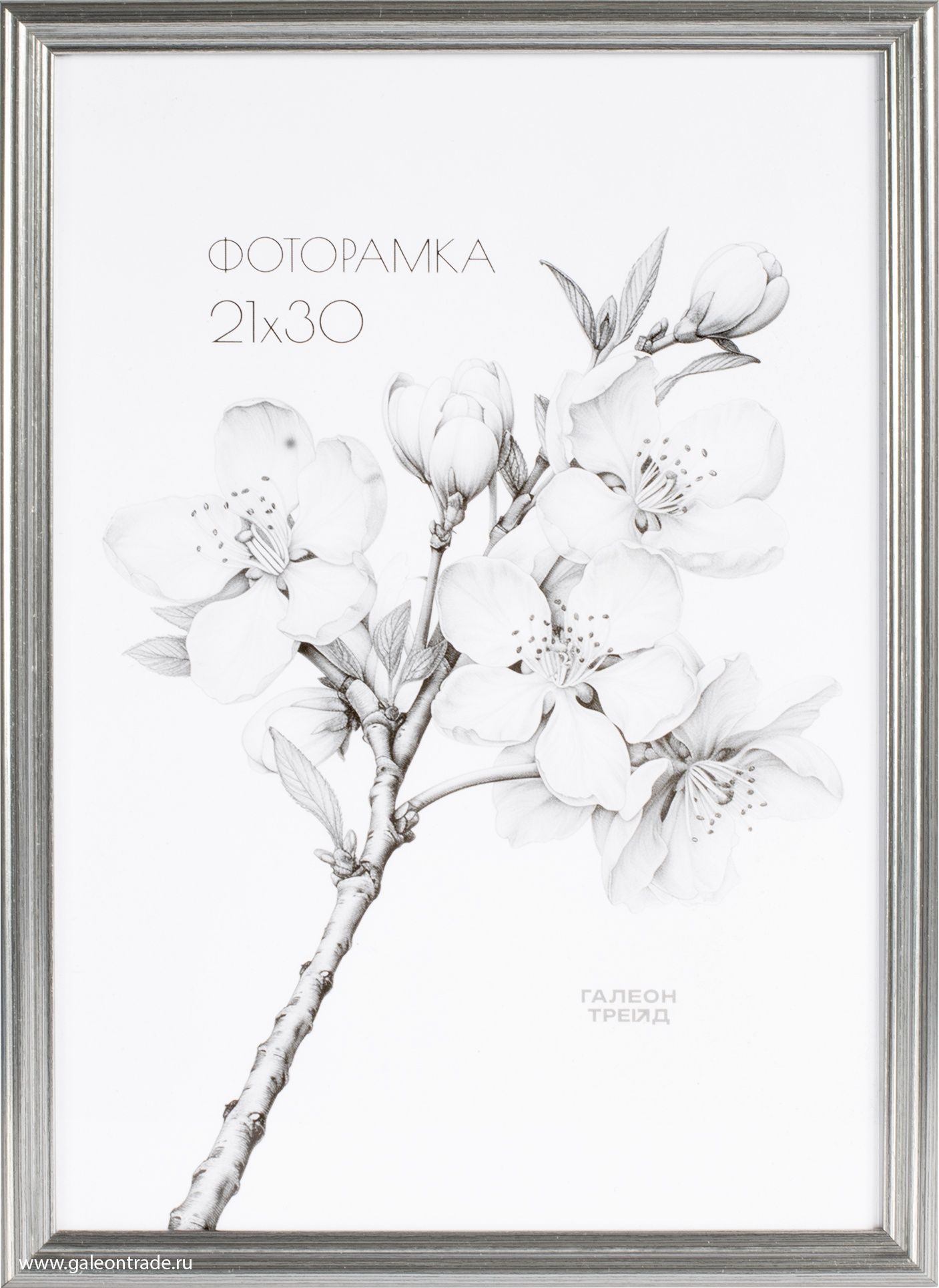 Фоторамка пластиковая 21 х 30 см, серебристая