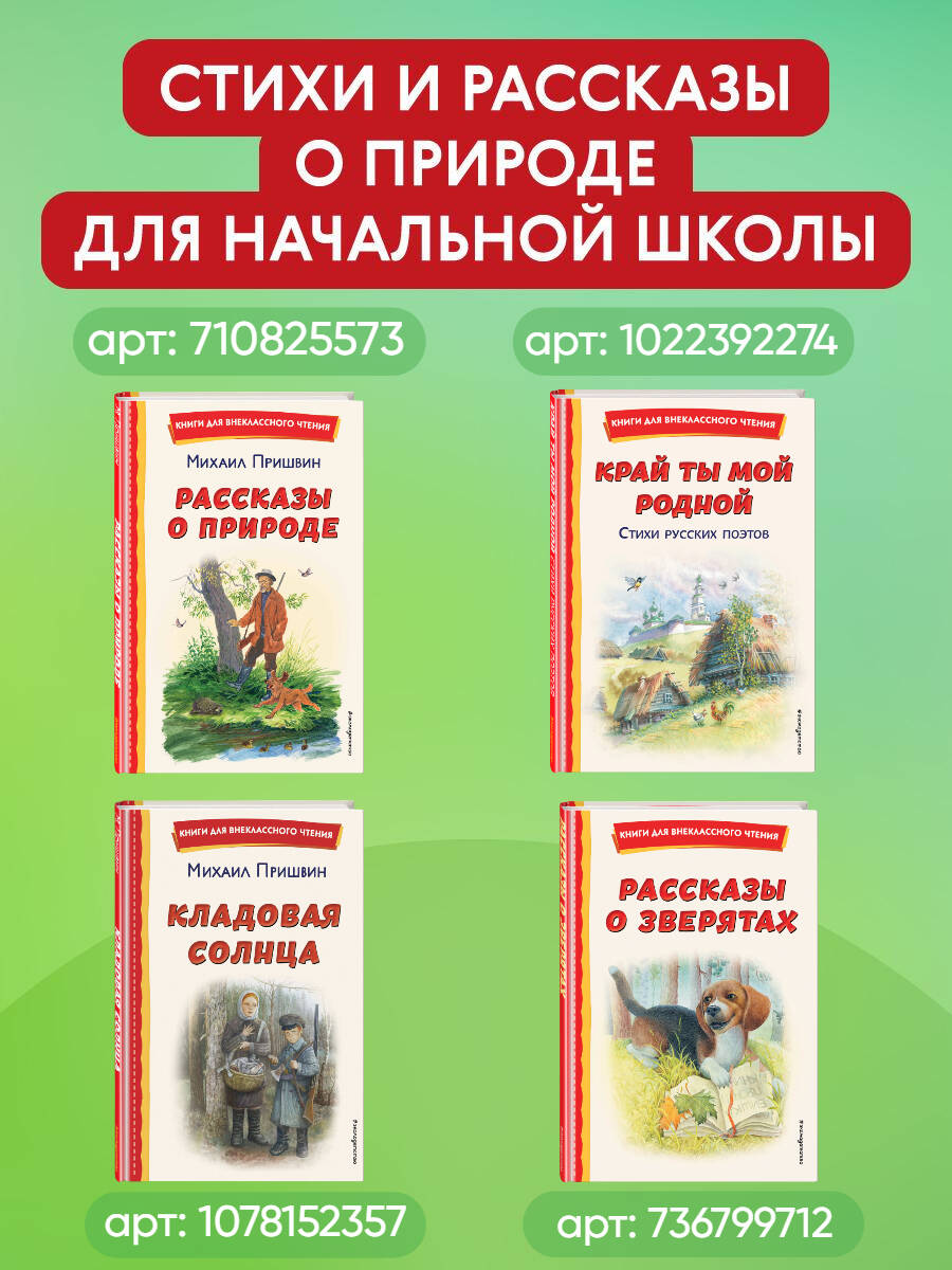 Каштанка. Мальчики и другие рассказы. Внеклассное чтение | Russian-Language Book - Ozon image 7