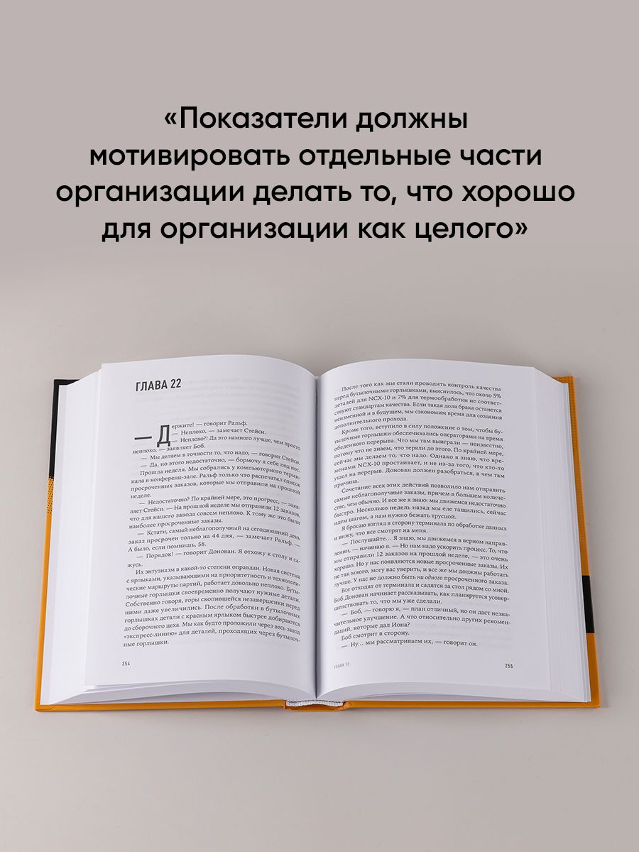 Цель. Процесс непрерывного улучшения | The Goal: A Process of Ongoing Improvement - Ozon image 3