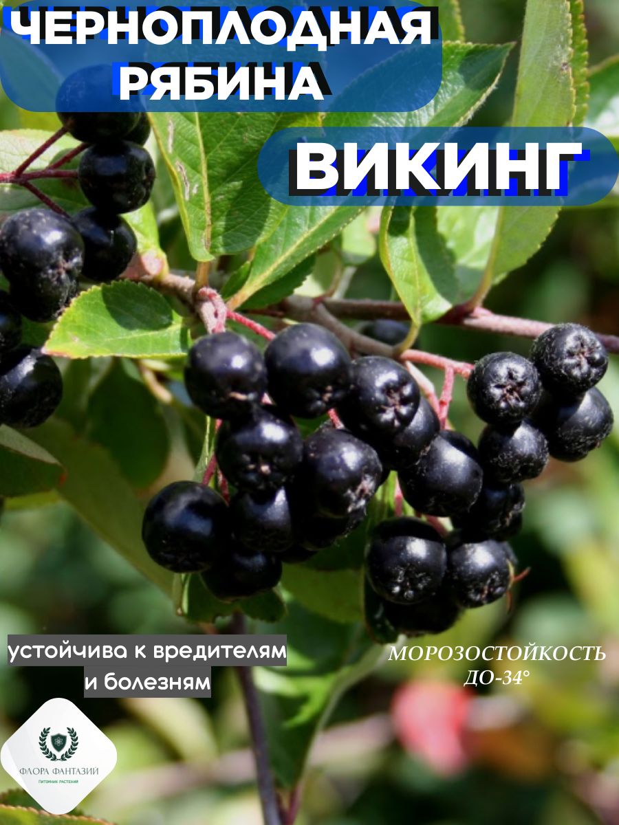 Связанные материалы