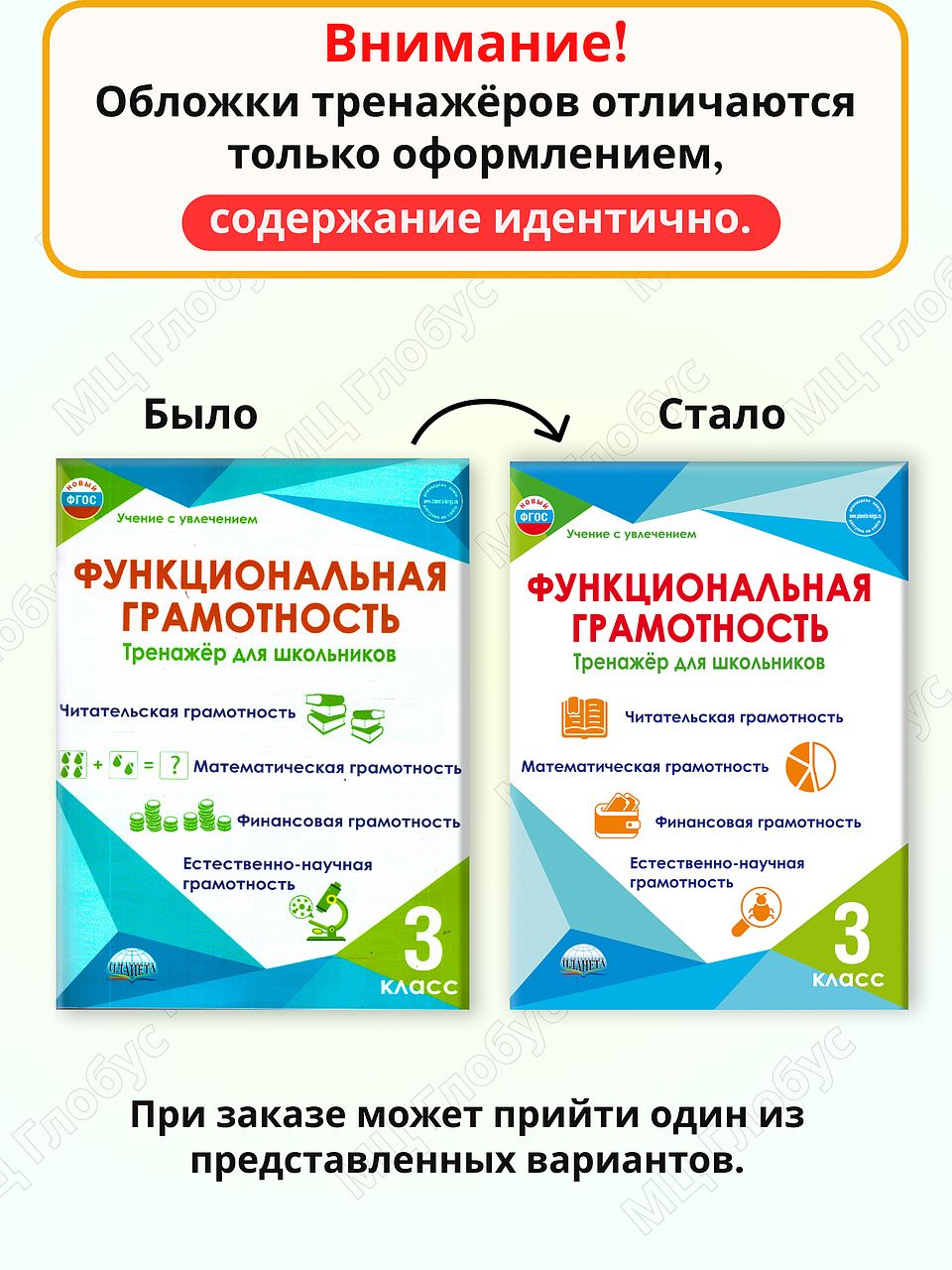 Функциональная грамотность 3 класс. Тренажёр для школьников | Financial Literacy Basics - Ozon image 1
