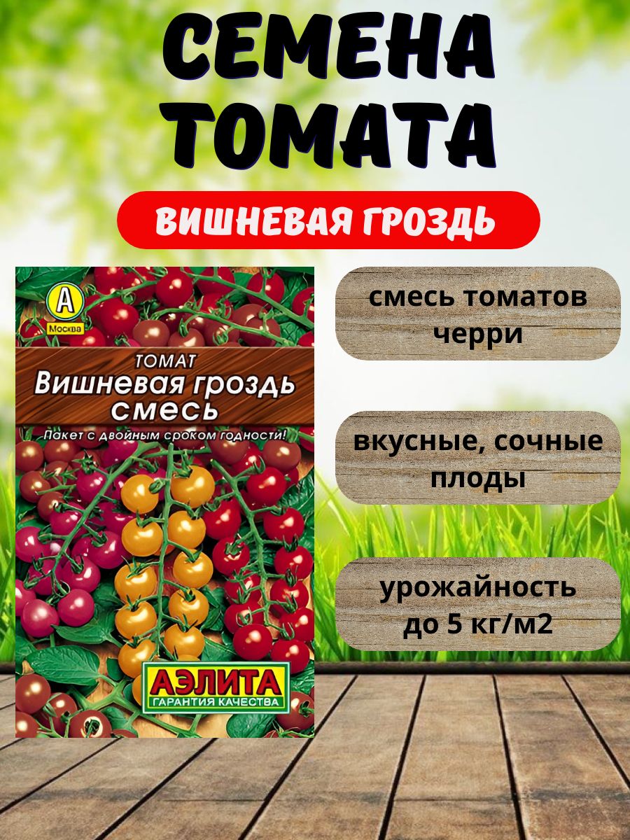 Семенапомидоровдлябалкона