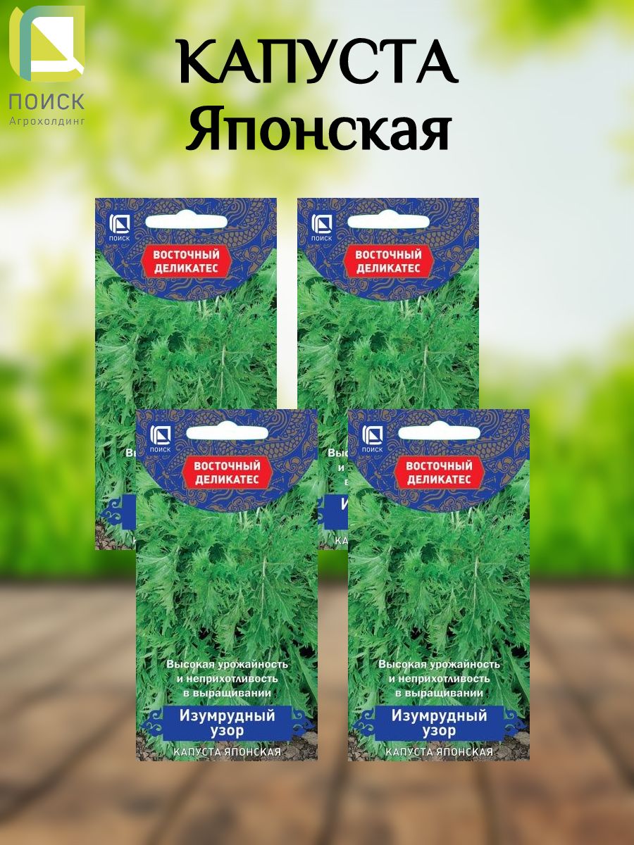 ПОИСКАгрохолдингСемена