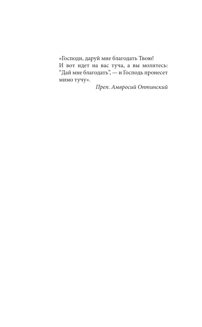 Оптина звала. 7 месяцев, которые подарили жизни новый смысл | Optina Called: 7 Months That Gave Life New Meaning - Ozon image 7