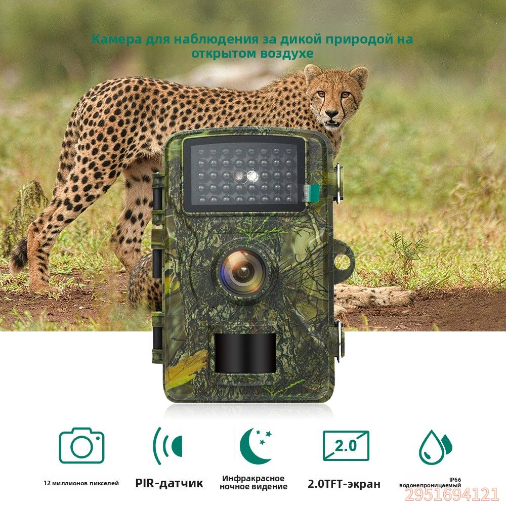 Фотоловушка