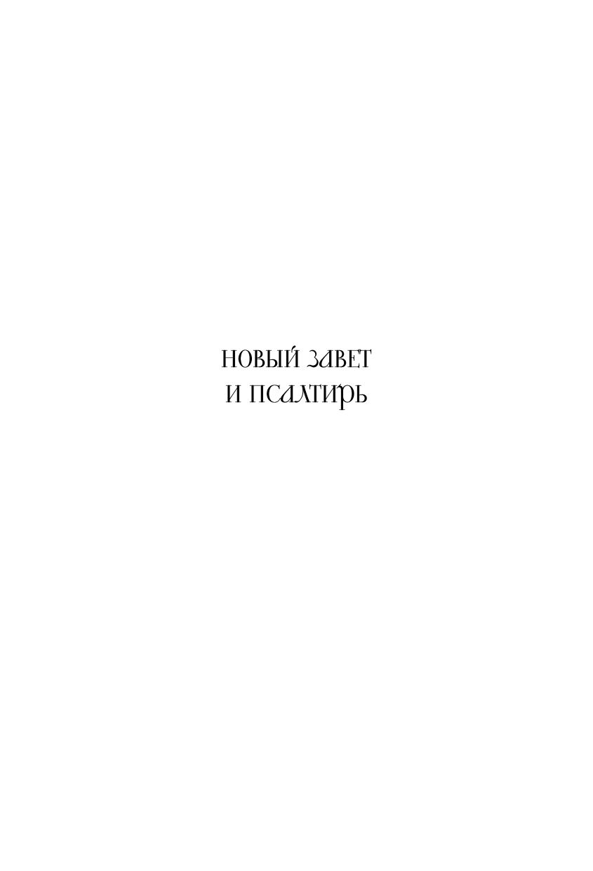 Новый Завет и Псалтирь. Русский синодальный перевод: крупный шрифт | New Testament and Psalms. Russian Synodal Translation: Large Print - Ozon image 4