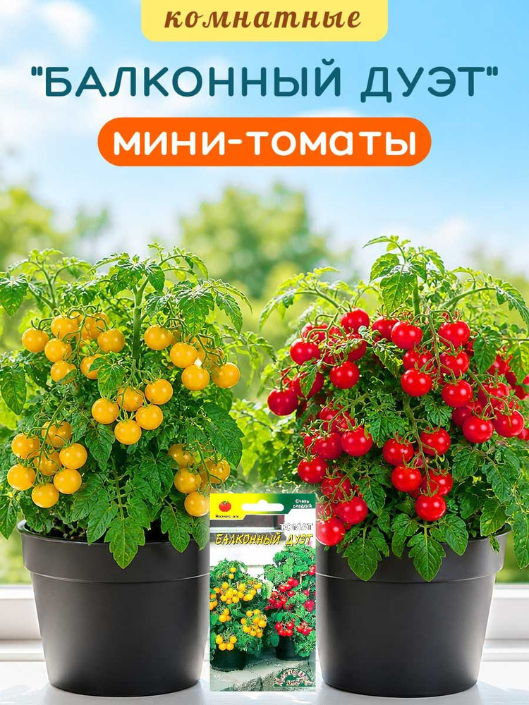 Семена томатов для комнатного выращивания "Балконный Дуэт" смесь сортов, балконные черри мини-томаты #1