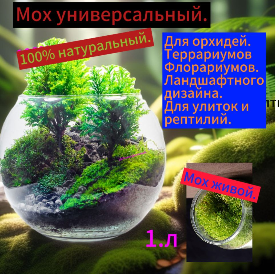 Мох #1