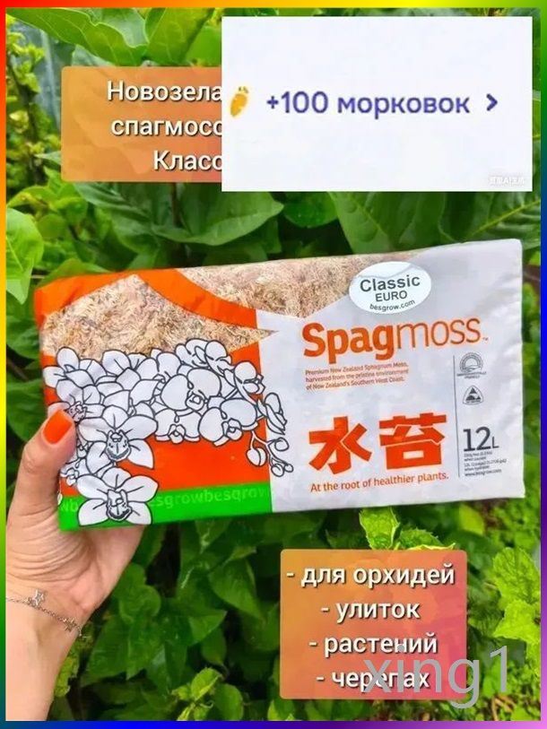Мох #1