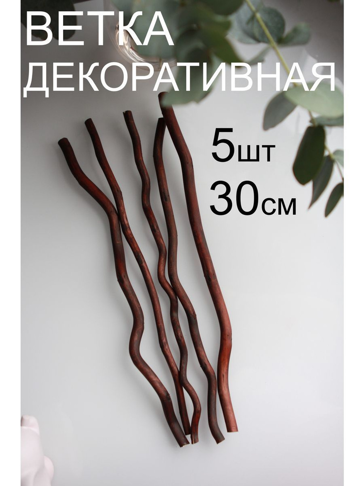 Купить Ветки декоративные Корилус сухоцвет (орешник) ствол по выгодной ...