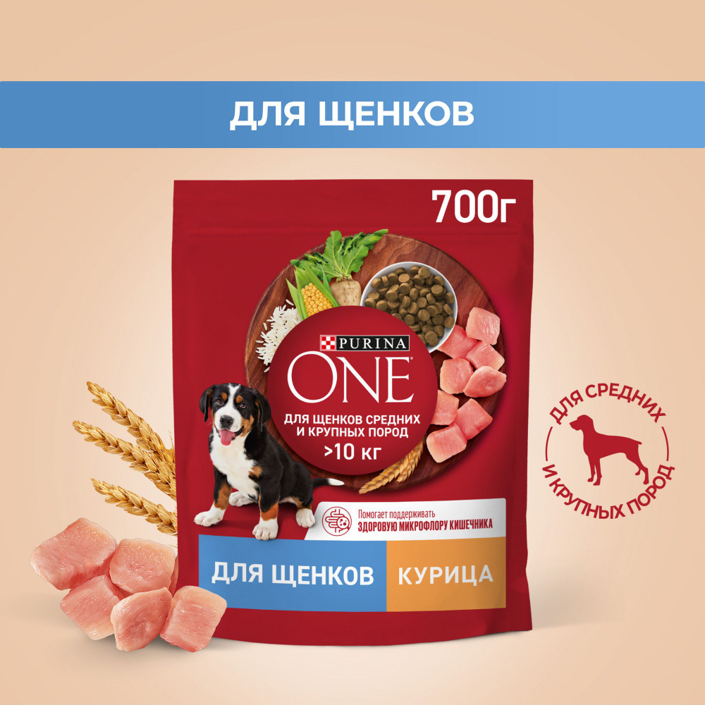 Сухой корм для щенков Purina ONE для средних и крупных пород, c курицей и  рисом, 700 г - купить с доставкой по выгодным ценам в интернет-магазине  OZON (150030887)