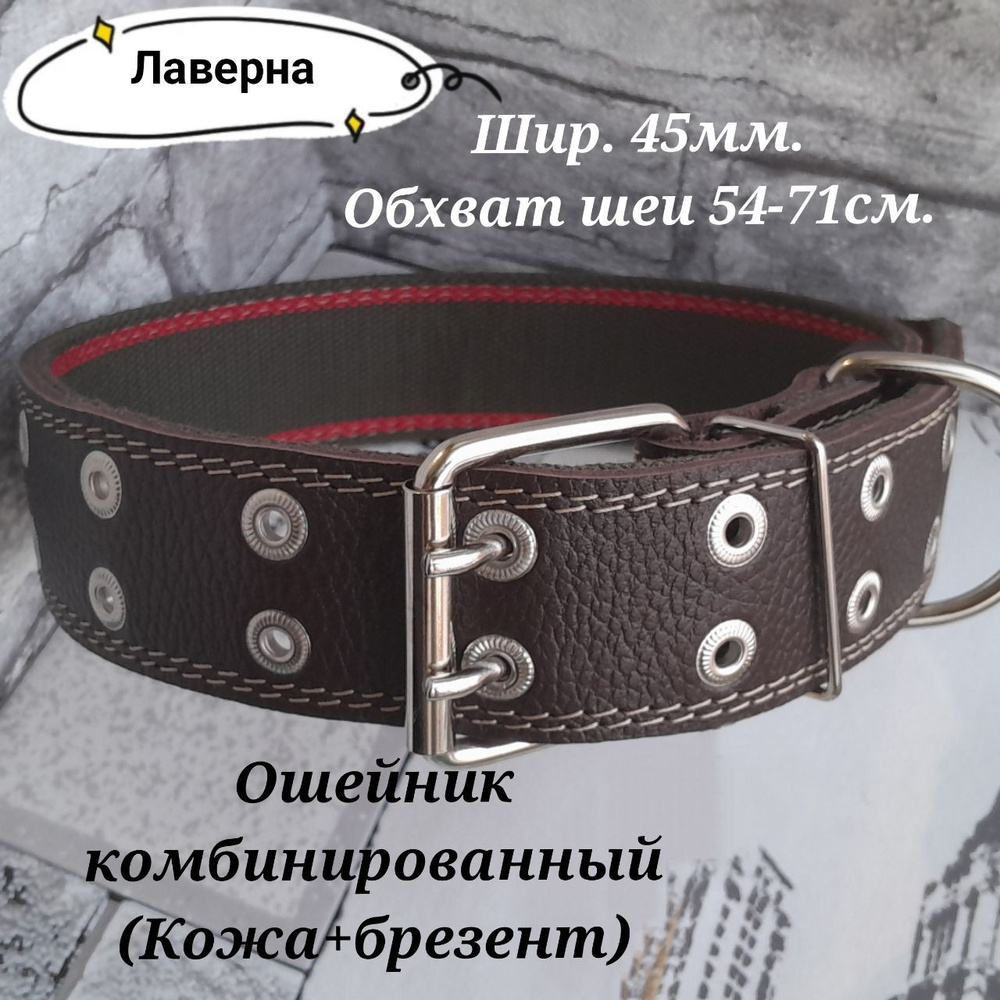 Ошейник комбинированный кожа+брезент. ширина 45мм. Обхват шеи 54-71см.  #1