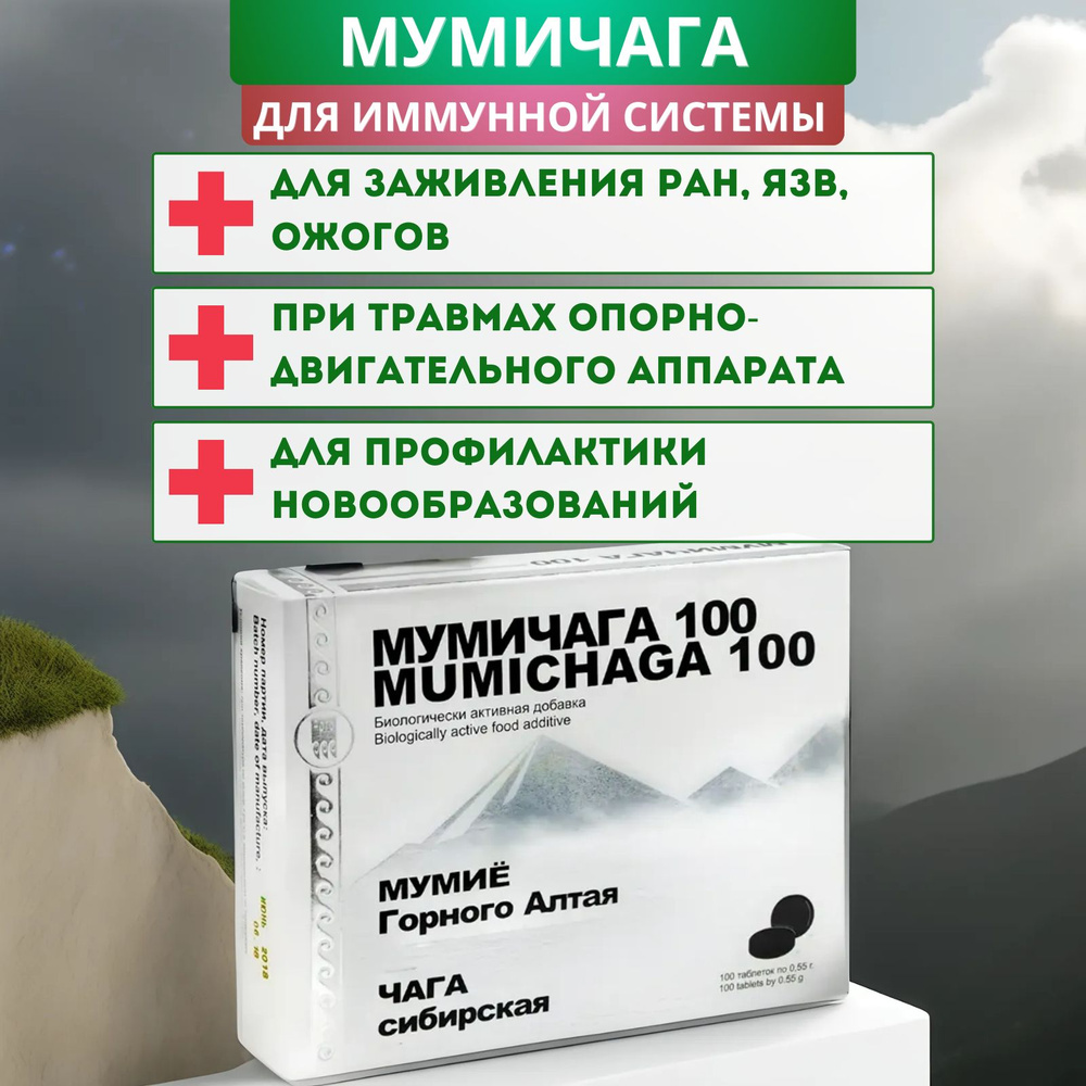 Мумичага для суставов и восстановления после травм, таблетки, 100 шт. -  купить с доставкой по выгодным ценам в интернет-магазине OZON (1142556806)