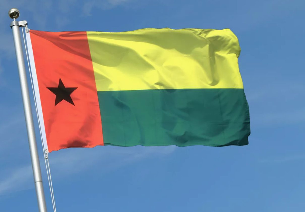Флаг Гвинеи-Бисау 40х60 см с люверсами #1