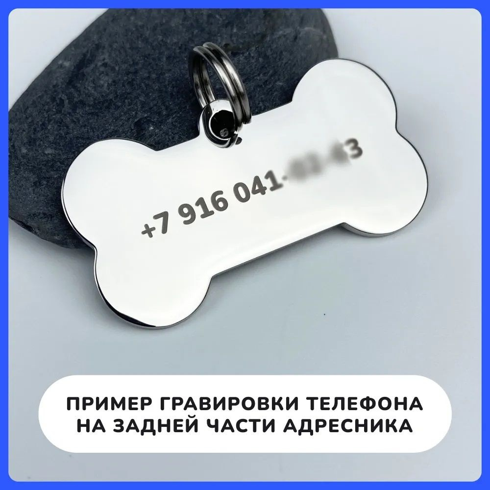 Адресник для собак с гравировкой и регулируемым шнурком, косточка ...