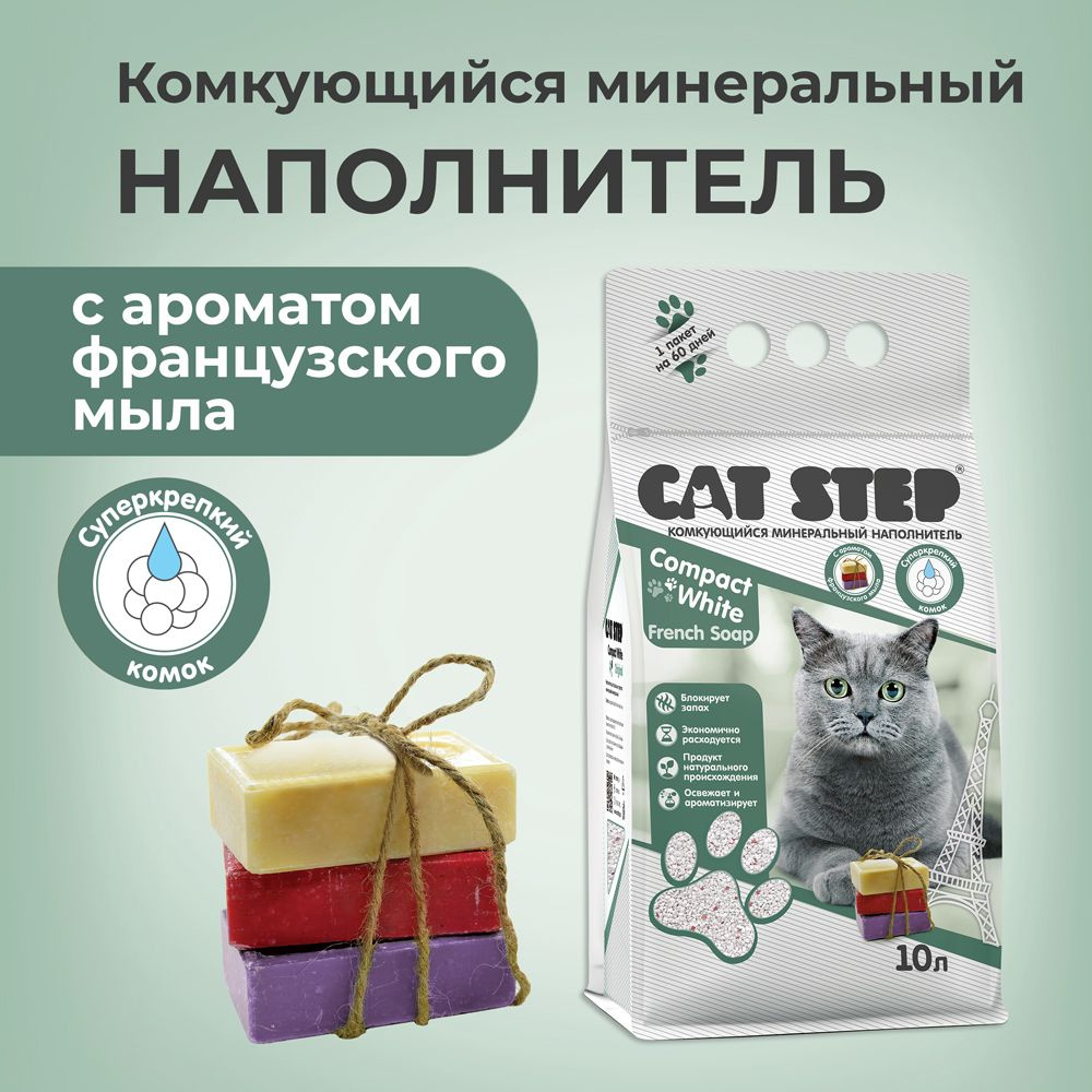 Котёнок ест наполнитель - опасно ли это? | Pets in the City | Дзен