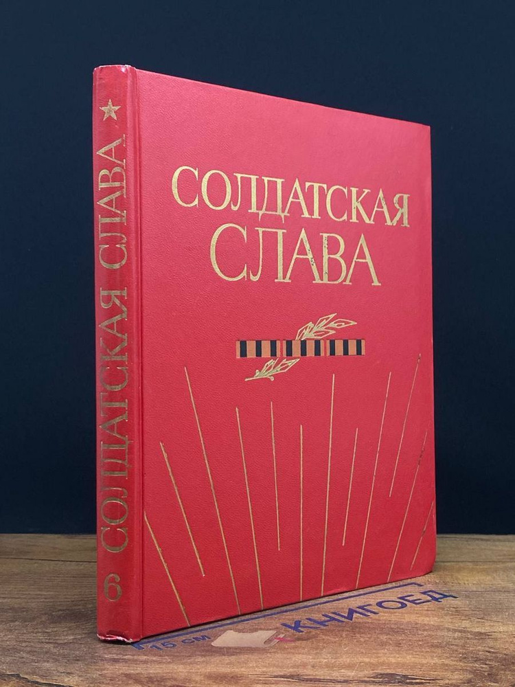 Солдатская слава. Книга 6 #1