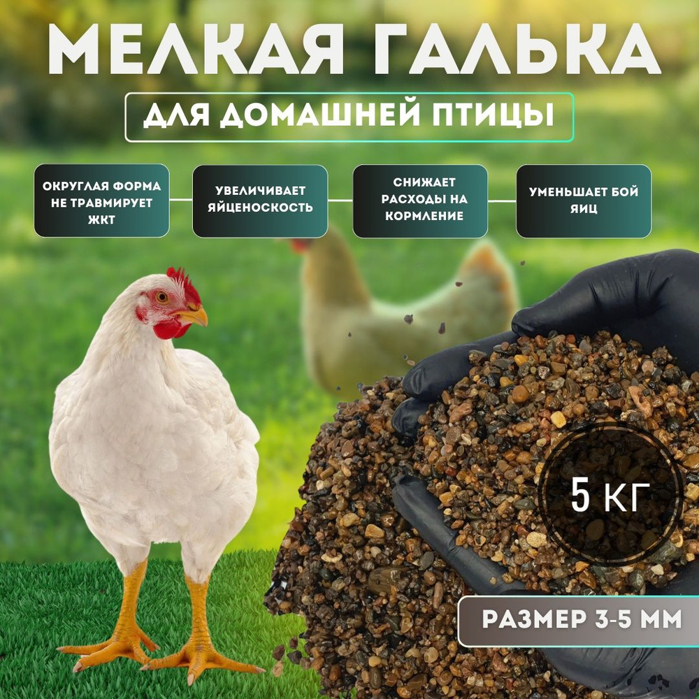 Корм для кур 5 кг. Мелкая галька - сечка речная, округлая, размер 3,0 - 5,0  мм, для домашней птицы, для кур, песок для птиц.