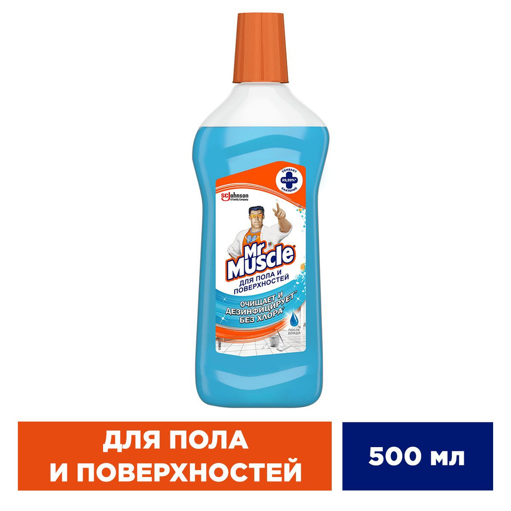 Мистер Мускул Средство для пола После дождя, 500мл - купить с доставкой по  выгодным ценам в интернет-магазине OZON (255049443)