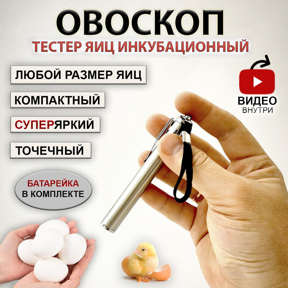 Овоскоп для проверки яиц "Kandix mini" - купить с доставкой по выгодным ...