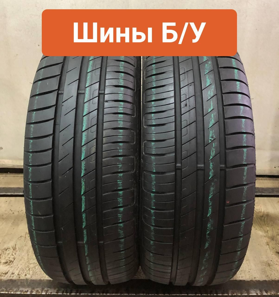 Шины для легковых автомобилей Goodyear 195/55 16 Лето Нешипованные - купить  в интернет-магазине OZON с доставкой (1562290355)