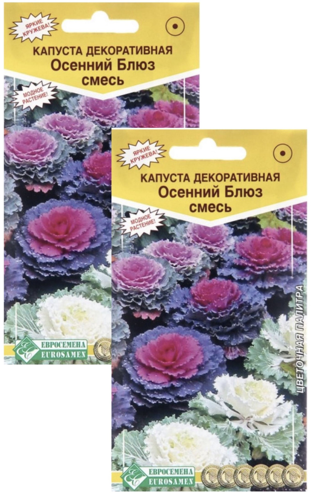 Капуста декоративная Осенний Блюз (смесь), 2 пакета, семена 30 шт, Евросемена  #1