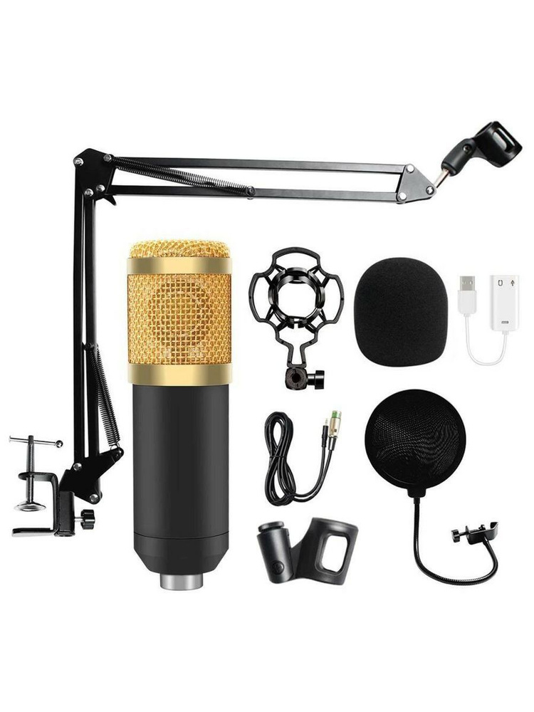 Микрофон студийный XR GROUP Студийный Конденсаторный BM-800 с ...