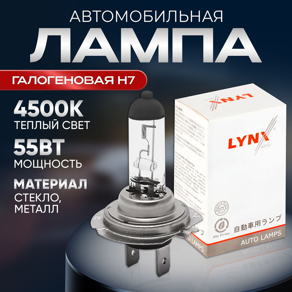 Лампа автомобильная LYNXauto 12 В, 1 шт. купить по низкой цене с доставкой  в интернет-магазине OZON (862339921)