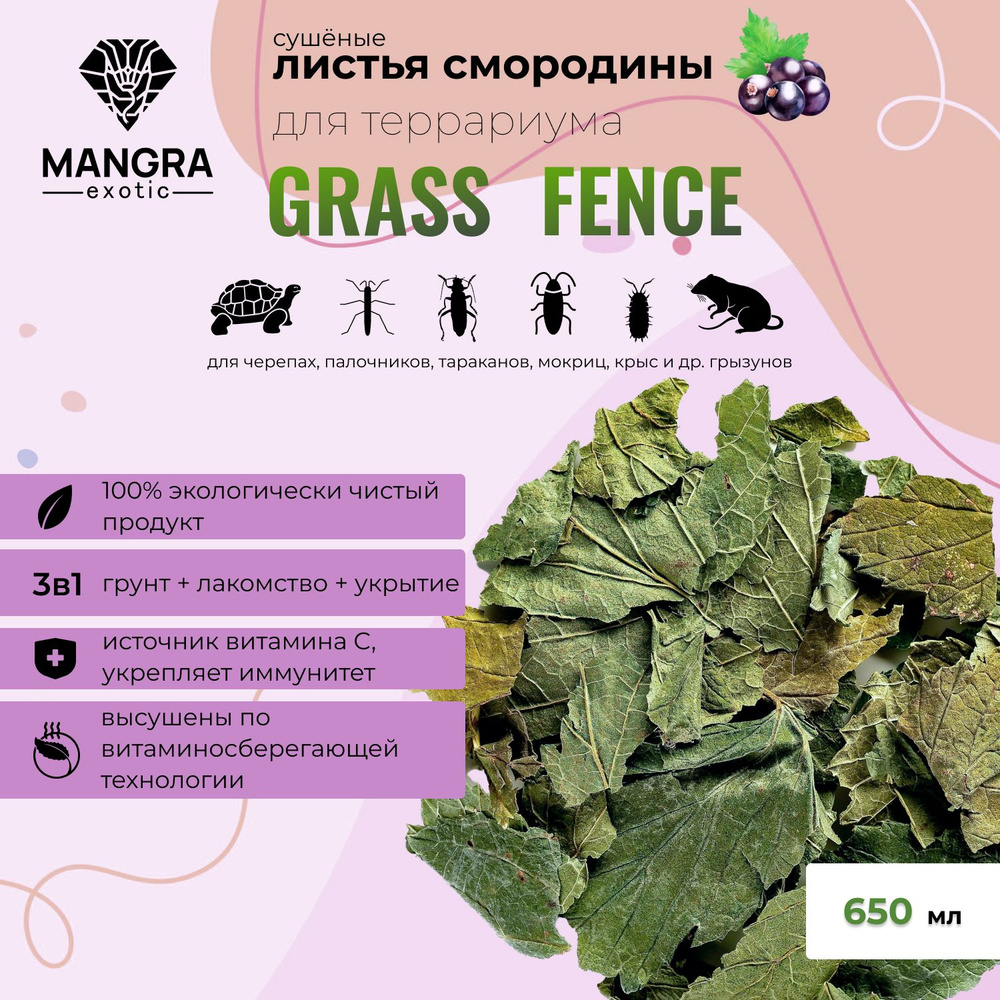 Натуральные листья черной смородины MANGRA exotic Grass Fence, сушеные, из Сибирской тайги, для террариума, #1