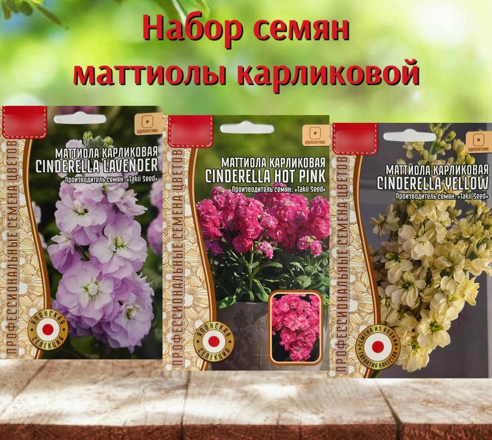Семена #1