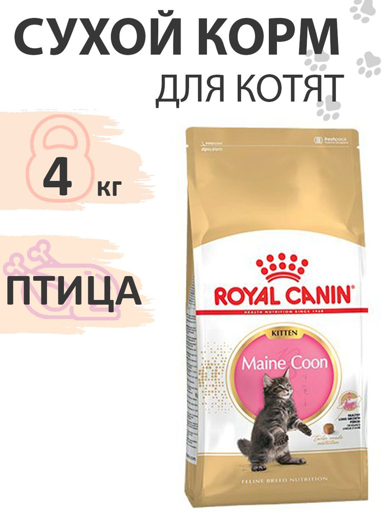 From kitten to cat royal canin hotsell