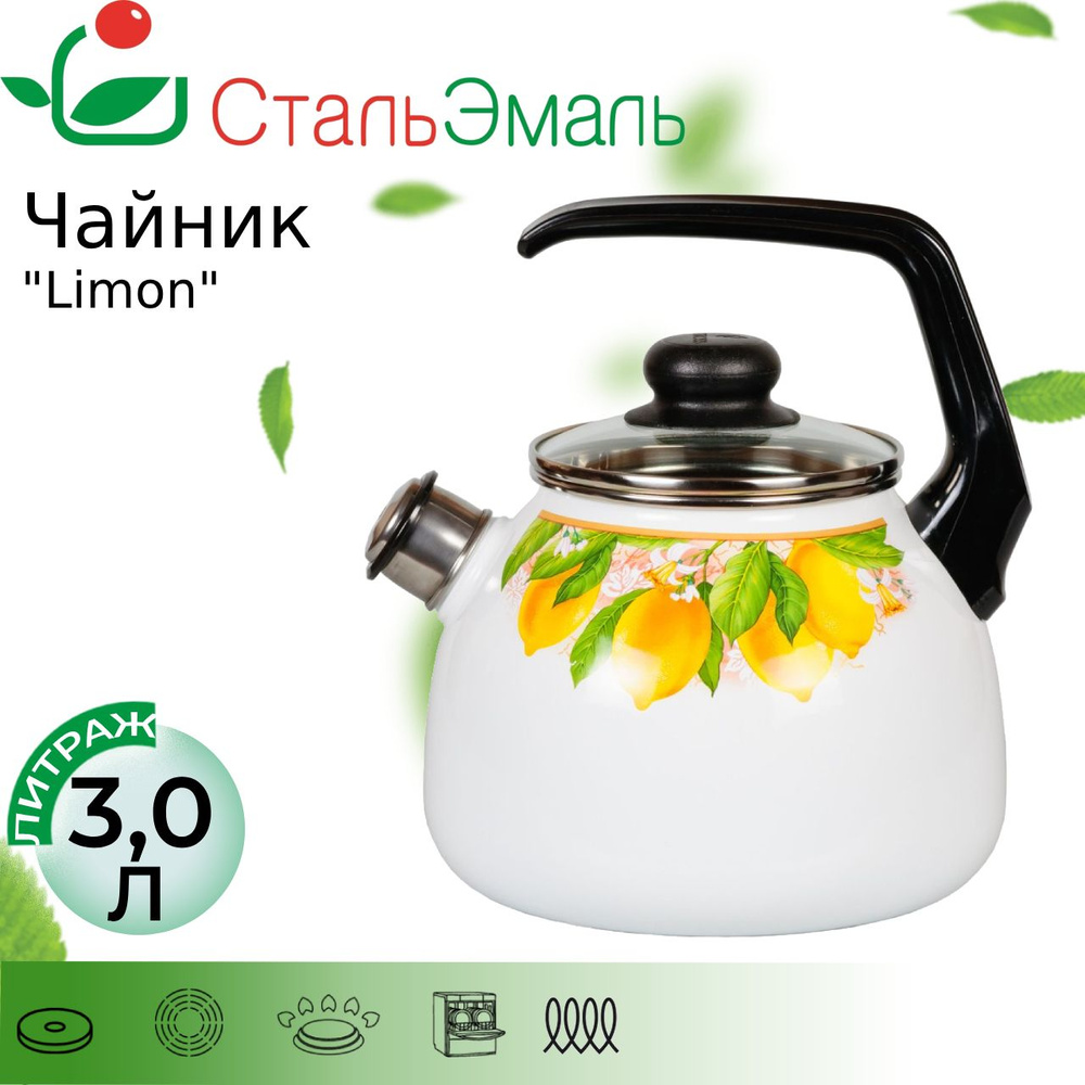 Чайник эмалированный 3,0л Limon белоснежный со свистком #1