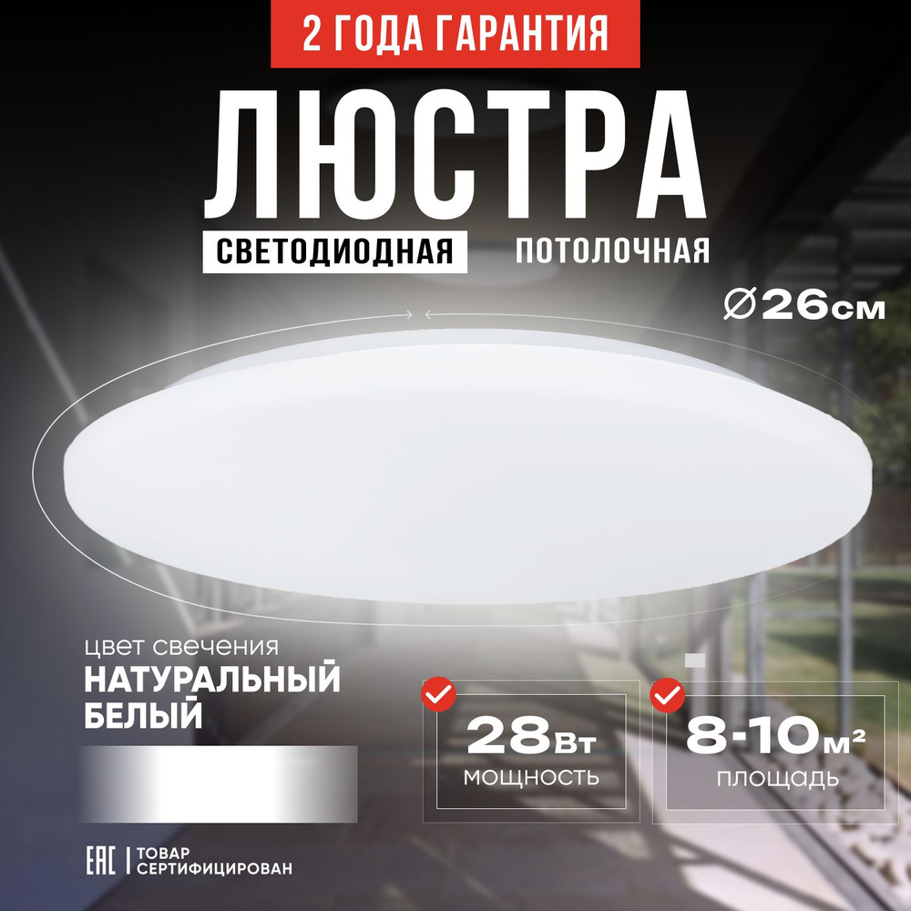 Потолочный светодиодный светильник 26см IRON/ накладной круглый / DOM ...