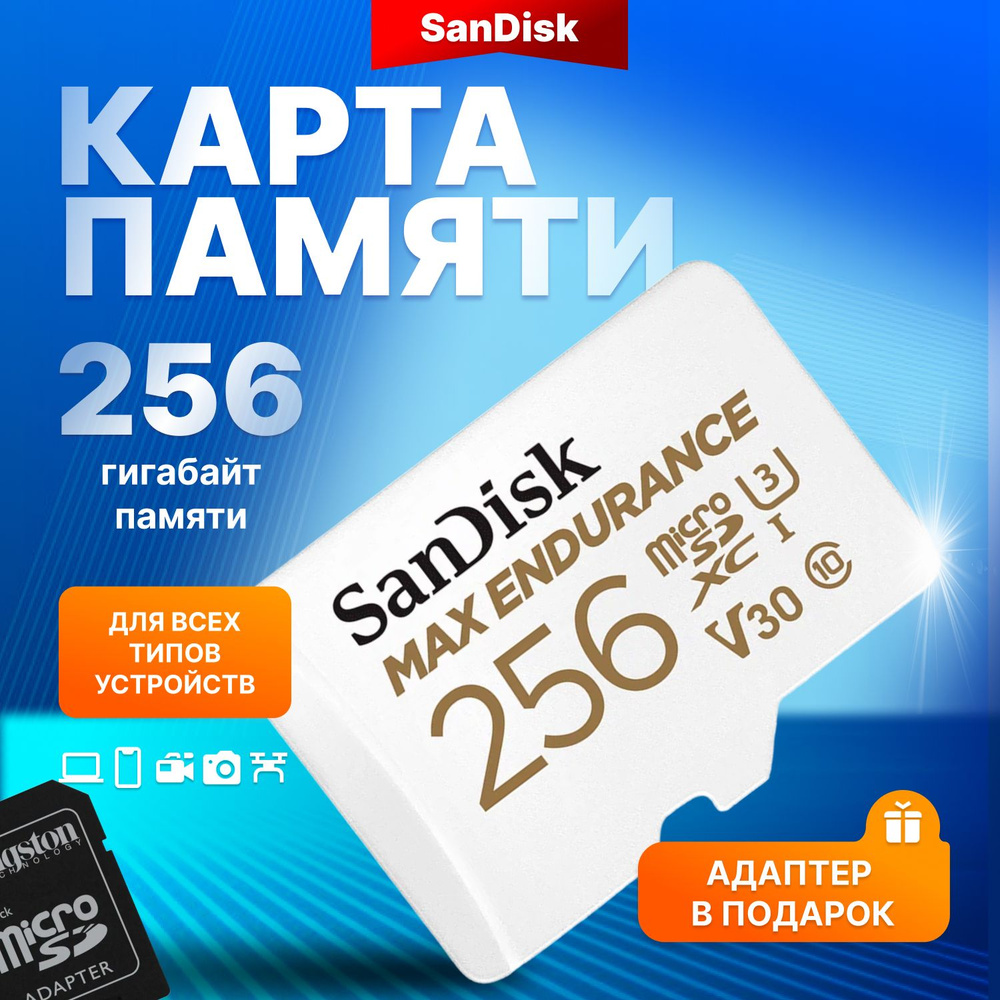 SanDisk карта памяти MicroSD 256GB Max Endurance Class 10 UHS-I V30 U3 + SD адаптер  #1