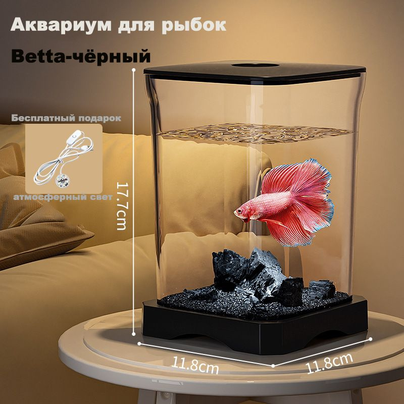Аквариум #1