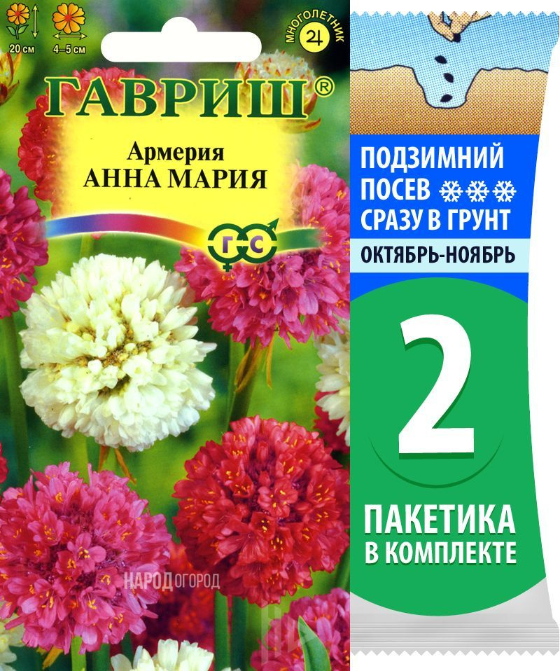 Семена Армерия приморская Анна Мария, 2 пакетика по 0,02г/15шт  #1