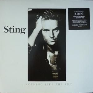 Виниловая пластинка Sting Nothing Like The Sun #1