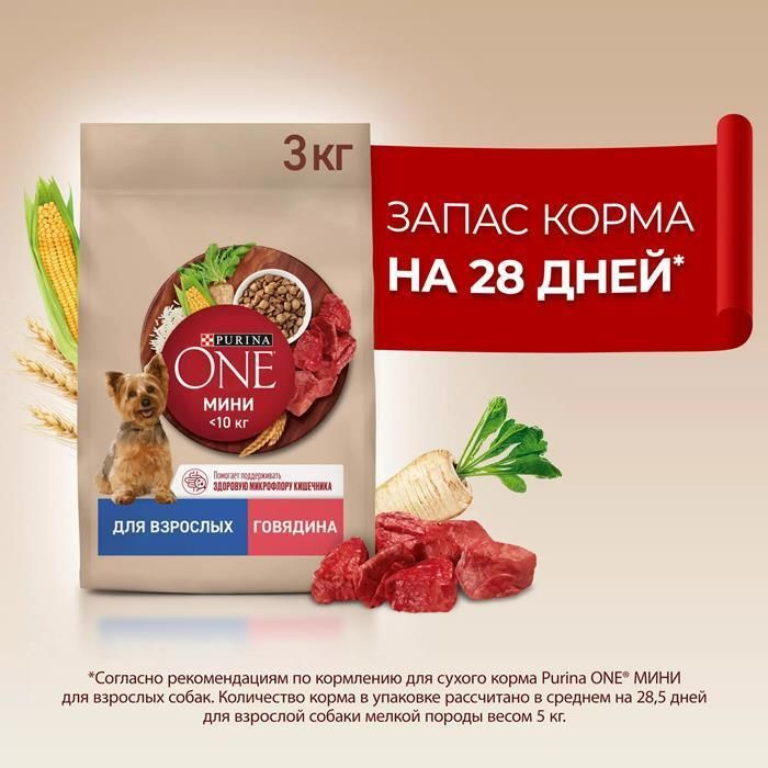 PURINA ONE МИНИ сухой корм для взрослых собак мелких пород, с высоким содержанием говядины и с рисом #1