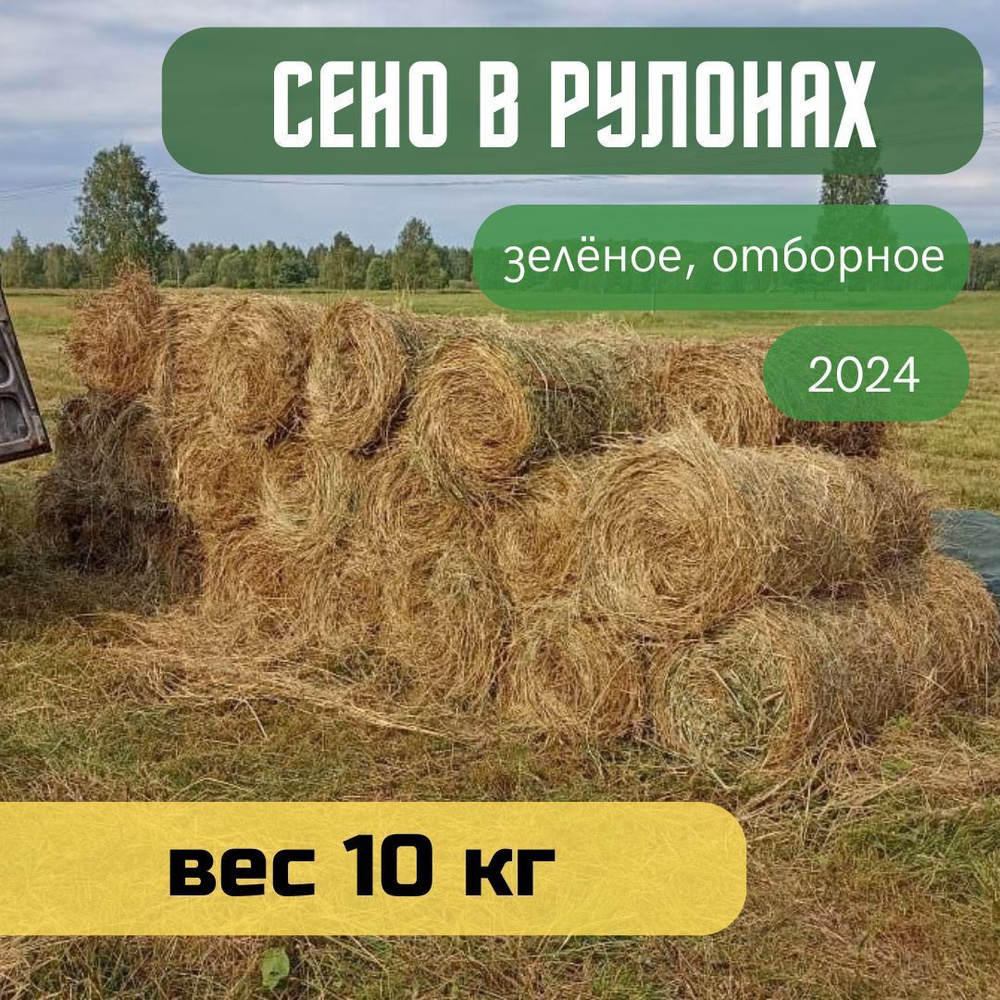 Сено луговое, рулон 10 кг, отборное, зеленое для грызунов и других домашних животных  #1