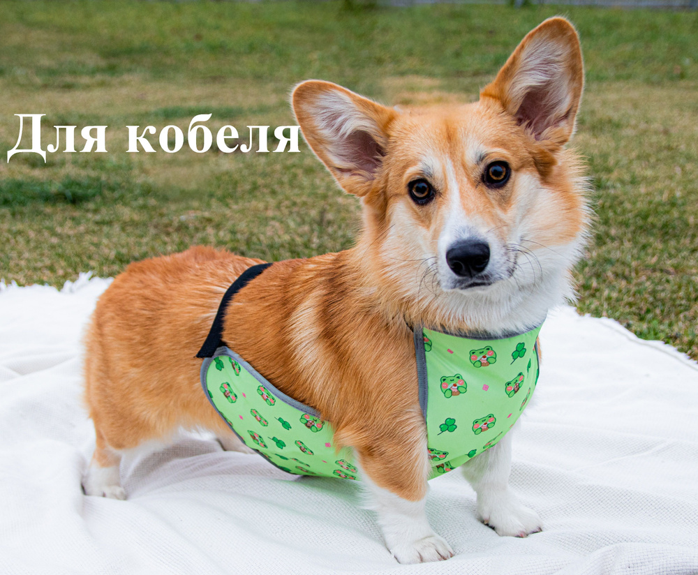 Дождевик для собак попона #1