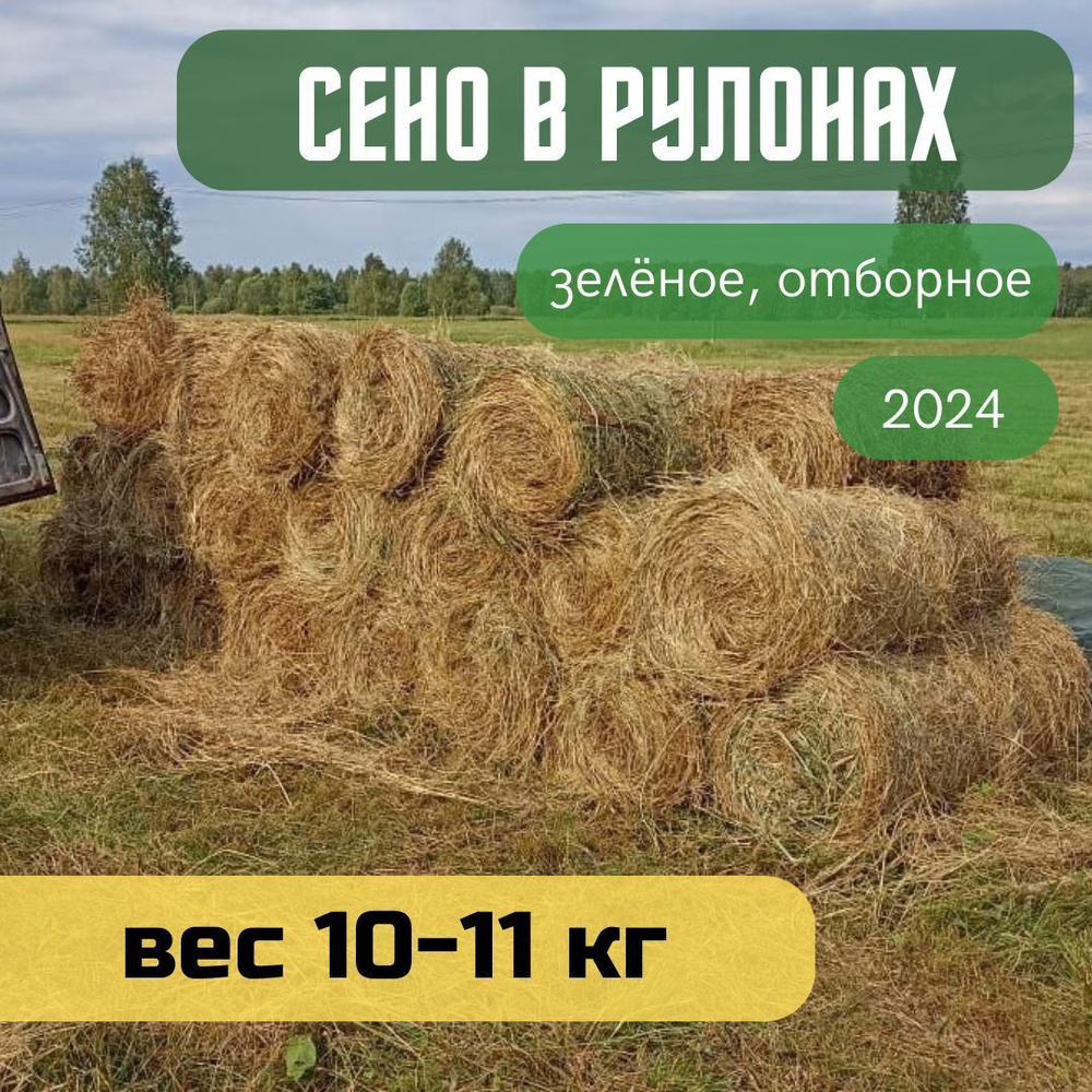 Сено луговое, рулон 10-11 кг, отборное, зеленое для грызунов и других домашних животных  #1