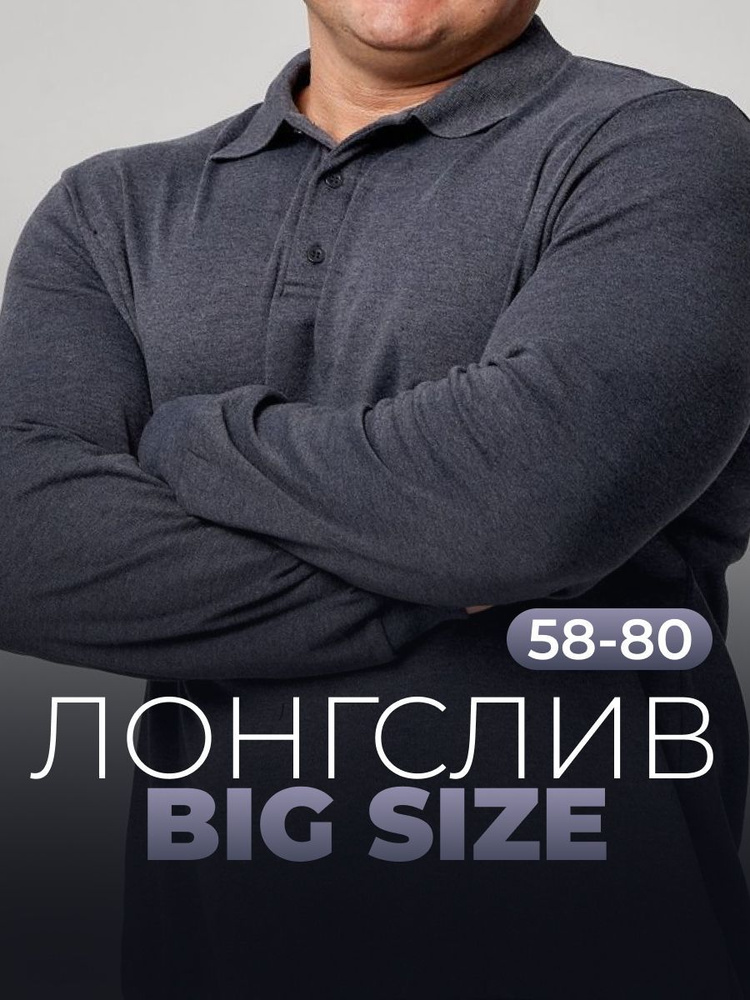 Лонгслив MR. BIGMAN большие размеры 58-80 #1