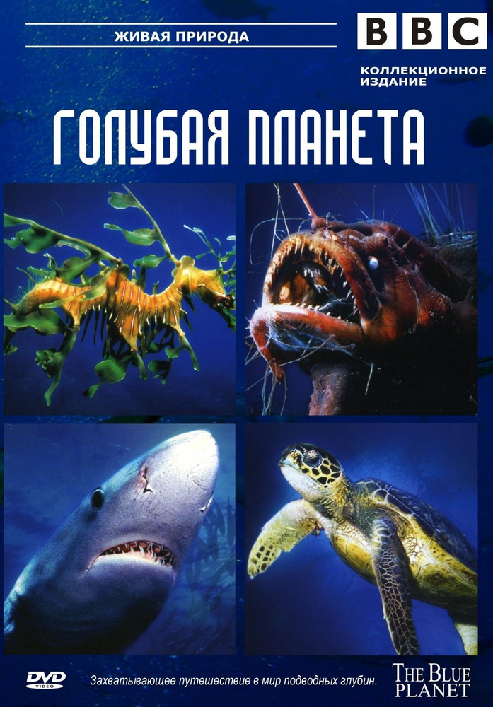 BBC: Голубая планета (2001) (4 DVD) (DVD-R) #1
