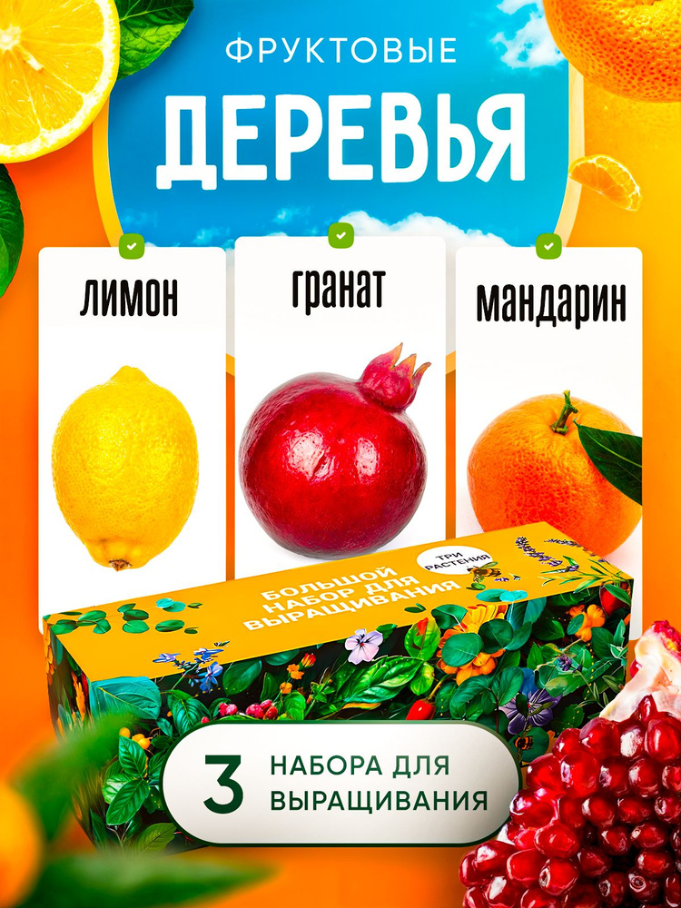 Набор для выращивания растений Гранат Лимон Мандарин #1