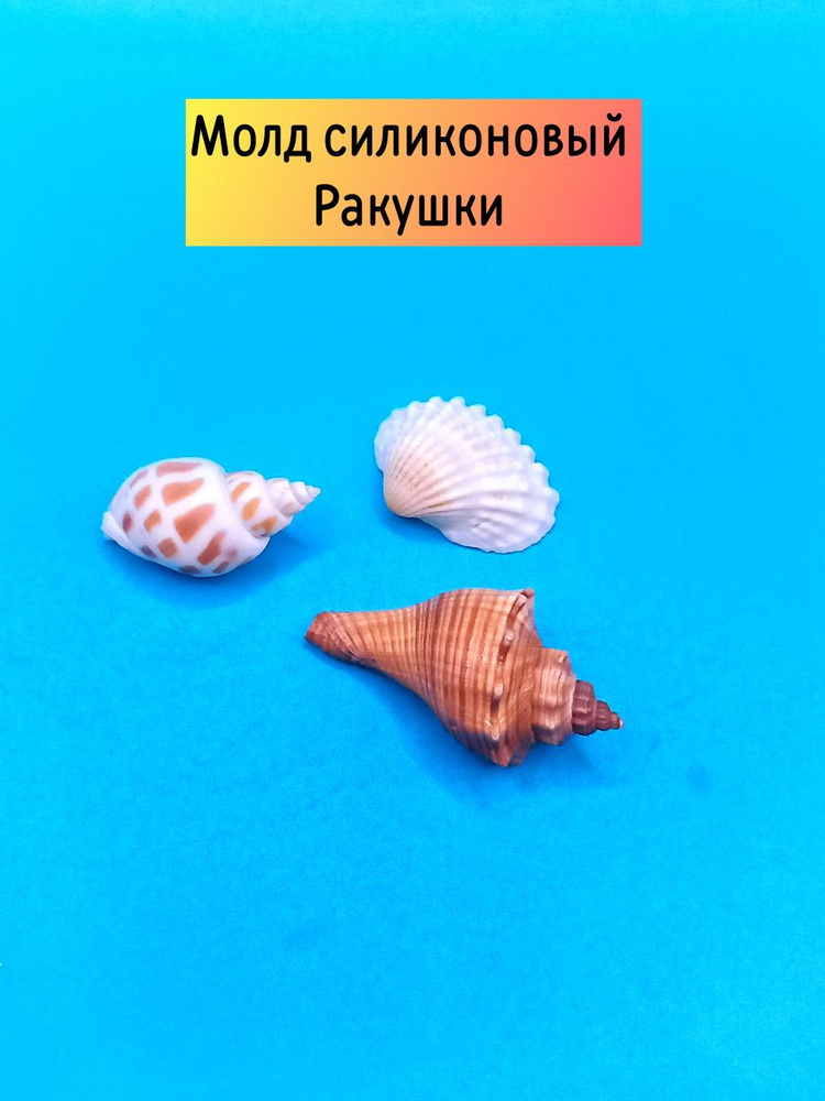 молд Ракушки #1