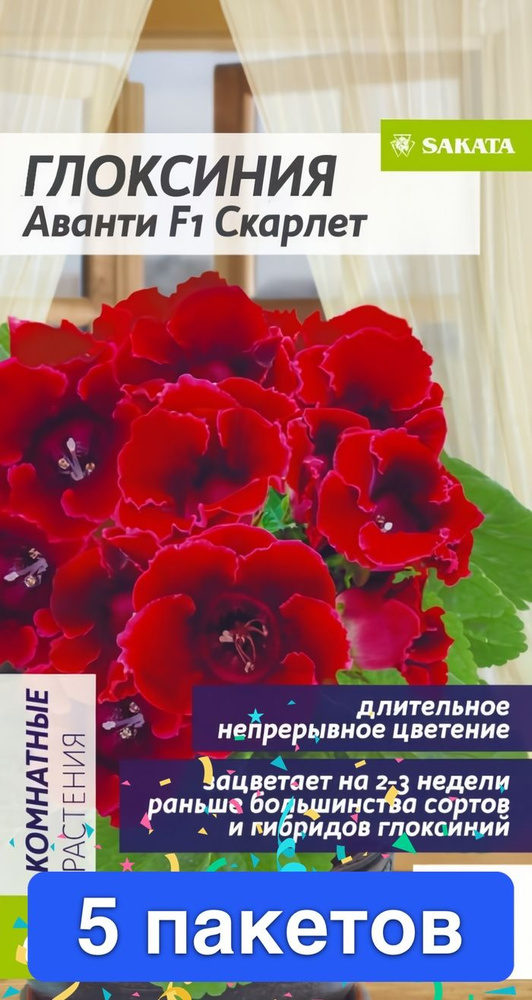 Глоксиния Аванти Скарлет F1, 5 пакетов #1
