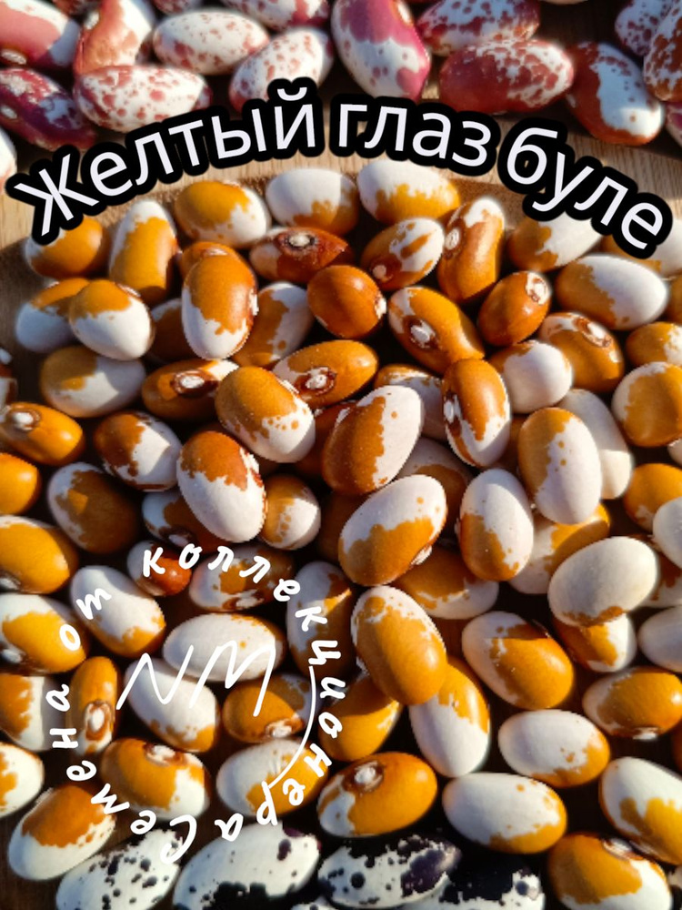 Семена ,6шт #1