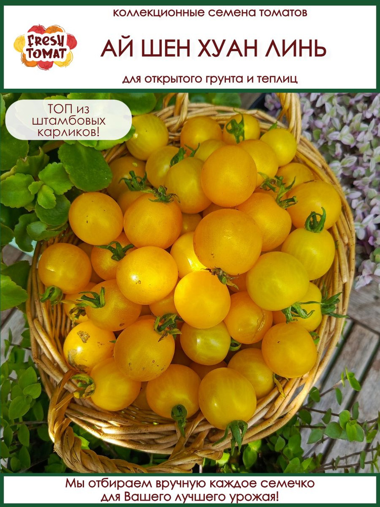 Семена томатов АЙ ШЕН ХУАН ЛИНЬ сорт для открытого грунта и теплиц #1